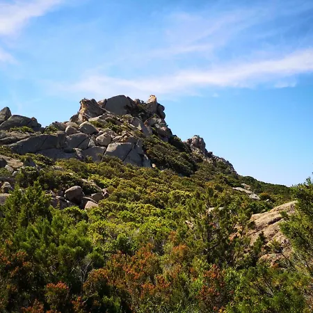 Au Coeur De L Alta Rocca شقة Levie