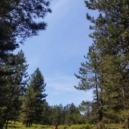 Au Coeur De L Alta Rocca شقة